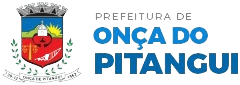 logo-onça-do-pitangui